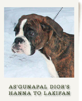 AS'GUNAPAL DIOR'S HANNA TO LAKIFAN 